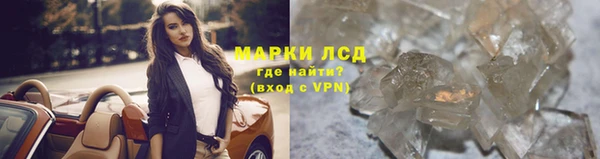 прущие грибы Володарск