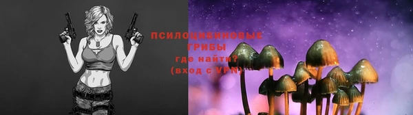 спайс Волоколамск