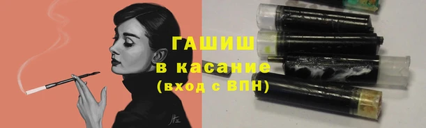 прущие грибы Володарск