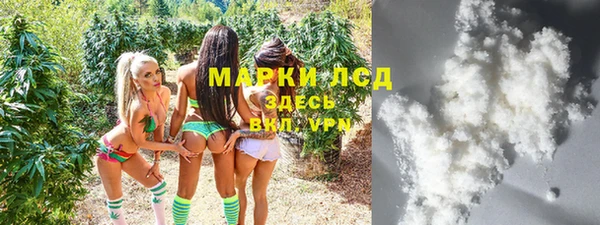 прущие грибы Володарск