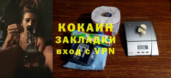 прущие грибы Володарск