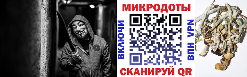 Галлюциногенные грибы Psilocybine cubensis  Волжск 
